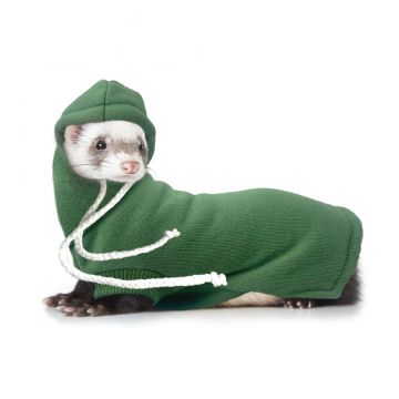marshallferrets Fashion